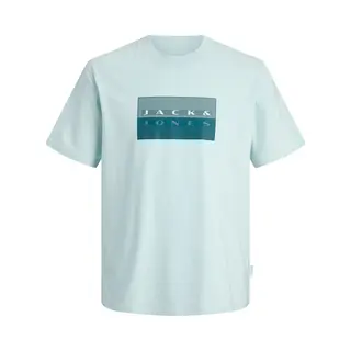 Jack & Jones Junior Shirt 'Jcofusion Dots' Grijs / Mintgroen / Spar / Wit