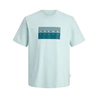 Jack & Jones Junior Shirt 'Jcofusion Dots' Grijs / Mintgroen / Spar / Wit