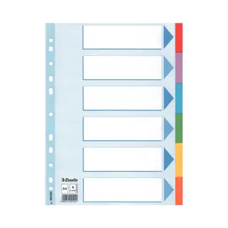 Esselte Register Blanko, Karton
