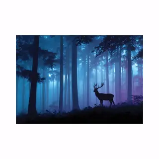 Wallarena - Behang 400x280 Cm - Fotobehang - Vliesbehang - Woud Motief - Naar De Slaapkamer, Woonkamer - Op De Flizelin