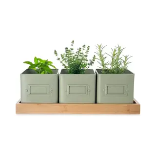 orion group Bloempot Kruiden Op Voet Greenish 4 El. - Plantenstandaard - Plantenmand - Voor Planten - Bloemen