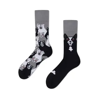 Many Mornings Bunte Lustige Socken Black Dog Größe 43-46 Ungleiche Baumwollsocken Damen Herren