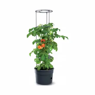 Vam - Prosperplast Tomatentopf Rankhilfe Anzuchttopf Für Tomate Kunststoff, Durchmesser, Ø 29, 5 Cm