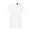 offwhite