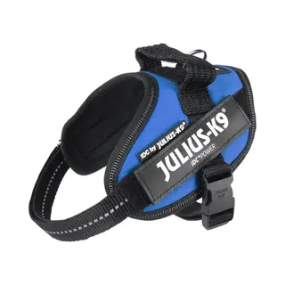 Julius K9 Julius Arns Idc Mini Blue