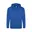ROYAAL BLAUW