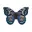 vlinder 2