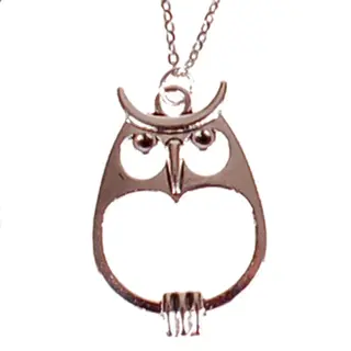 S.y.w Ketting Rvs 55cm - Hangertje Uil Zilverkleurig 3, 5x2cm