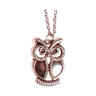 S.y.w Ketting Rvs 55cm - Hangertje Uiltje Zilverkleurig 2cm