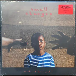 Polydor Small Changes [Vinyl]