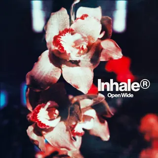 Universal Music Group Open Wide - Limited Clear Vinyl [Vinyl Lp] [Vinyl]