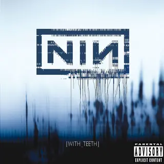 Universal Music Belgie Nine Inch Nails - With Teeth (Cd)