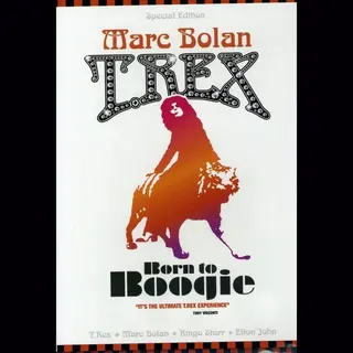Imports Marc Bolan & T. Rex - Born To Boogie [Special Edition] [2 DVDs]