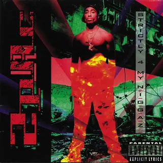 Universal Music Group Strictly 4 My N.I.G.G.A.Z... [Vinyl]
