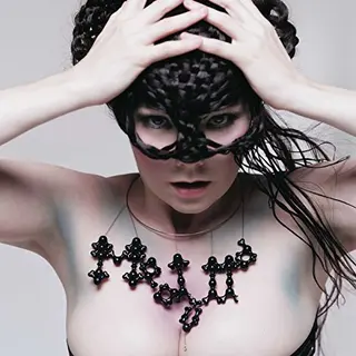 Bertus Distributie Bjork - Medulla