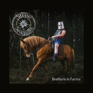 Pias Nederland Steve'n'Seagulls - Brothers In Farms (Cd)