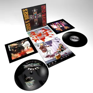ImportCDs Appetite For Destruction Vinyl Poprock