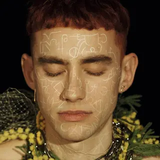 Bertus Distributie Years & Years - Palo Santo (Lp)