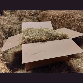 Hooi - Knaagdieren - Konijn - 6 Kg