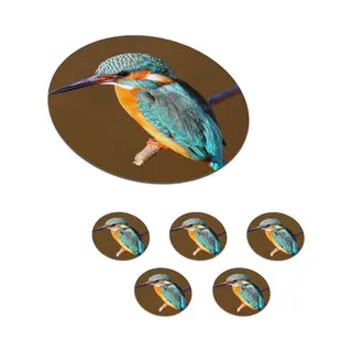 KitchenYeah Onderzetters Voor Glazen - Rond - IJsvogel - Takken - Kleurrijk - 10x10 Cm - Glasonderzetters - 6 Stuks