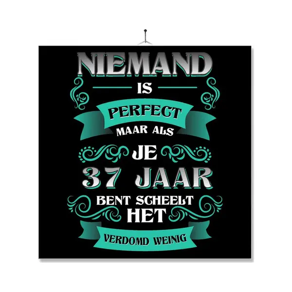 Mc Living Tegel Met Opdruk | Kado | Cadeau | Verjaardag | Niemand Is Perfect Maar Als Je 37 Jaar Bent Scheelt Het Verdomd Weinig thumbnail