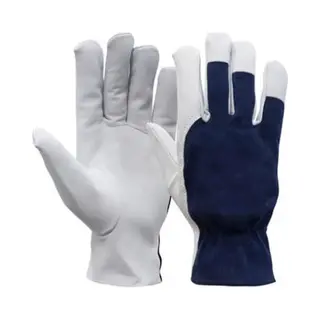 Alpenclothes - Geitenleer - Tropic - Blauw - Werkhandschoenen - Maat 10 - Set Van 2