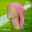 Licht Roze