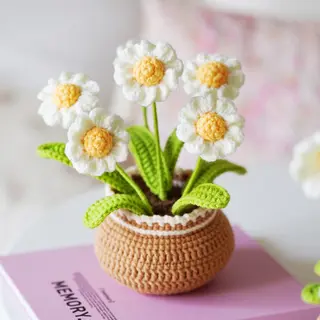 All-in-One Haakpakket Madeliefje – Diy Gehaakte Bloem – Compleet Met Garen, Haaknaald & Patroon – Leuk Voor Beginners