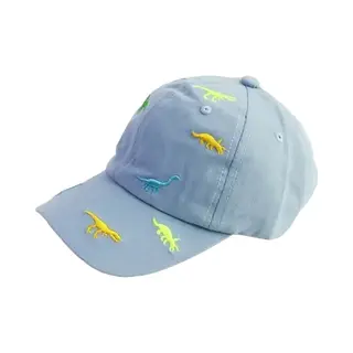 Baseball Cap Dino's - Blauw - Maat 50/54 - Kind 2 Tot 5 Jaar - Honkbalpet Dinosaurus - Petje Voor Kinderen - Verstelbaar - Katoen