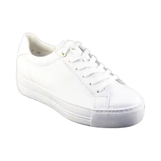 Paul Green 5241.007