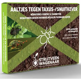 Strijtveen & Wagenaar Aaltjes Tegen Taxuskever En Snuitkever 25m² - Biologische Bodeminsecten Bestrijding - Taxuskever Bestrijden - Afweermiddelen