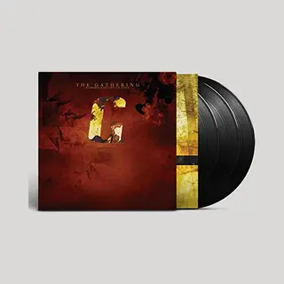 The Orchard Accessories - Rarities And B-Sides [Vinyl Lp]
