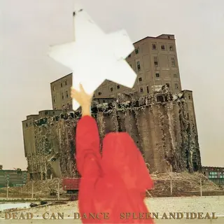 Beggars Spleen &Amp; Ideal