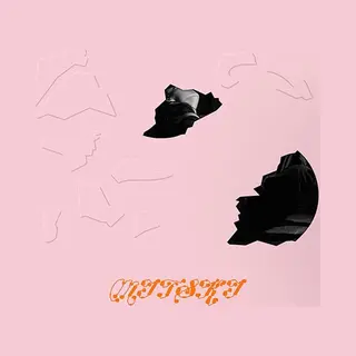 Konkurrent Mitski - The Land Is Inhospitable And So Are We (Lp) (+ Postcard)