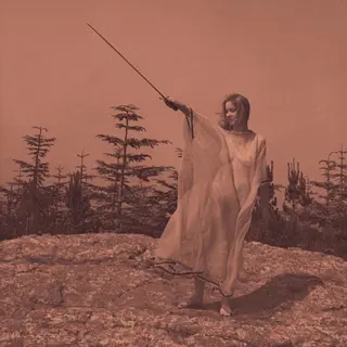 Konkurrent Unknown Mortal Orchestra - Ii (Cd)