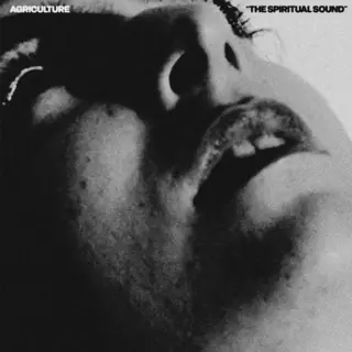 Zach Top The Spiritual Sound [Vinyl Lp] [Vinyl]