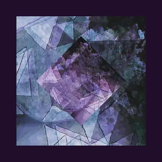 Carpark Records In Limbo [Vinyl Lp]