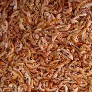 Voervoorvis.nl Vlokreeftjes (Gammarus) (2, 5 Liter)