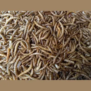 Meelwormen - Buitenvogelvoer - 60 Liter - 10KG