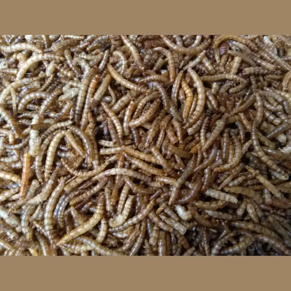 Meelwormen - Buitenvogelvoer - 60 Liter - 10KG thumbnail
