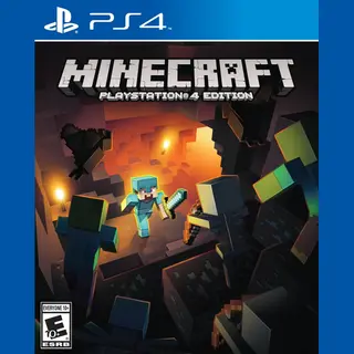Sony Minecraft, PS4 Standaard Nederlands PlayStation 4