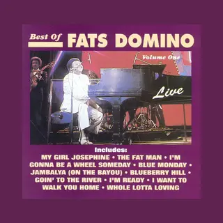 Bertus Distributie Best Of Fats Domino Live, Vol. 1
