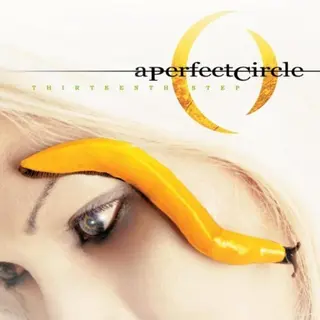 A Perfect Circle - Thirteenth Step (2 Cd)