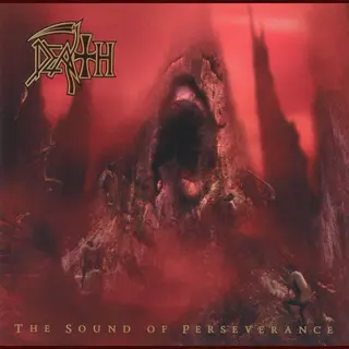 The Sound Of Perseverance