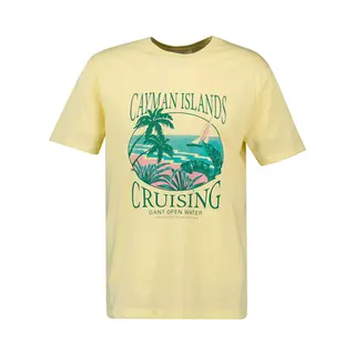 Gant Placed Graphic T-shirt Met Korte Mouwen Geel M Man