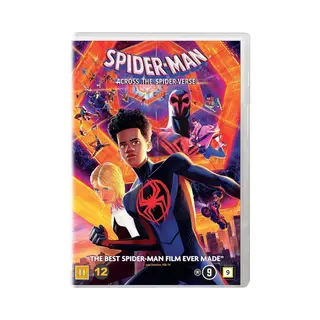 Sf Studios Spider-Man, Across The Spider-Verse