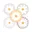 Bloem - Madelief - Margriet