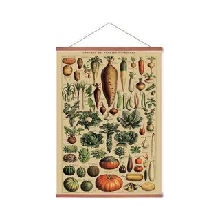 Esque Poster In Posterhanger - Vintage Groenten - Kader Hout - Educatief - 70x50 Cm - Planten/Botanisch - Ophangsysteem