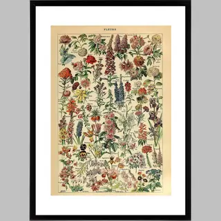Esque Vintage Poster Bloemen - Les Fleurs - Planten - Bloem - Natuur Botanisch Millot - Plant & Tuin
