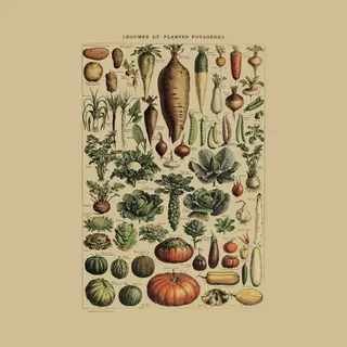 Esque Fotowand Vintage Groenten & Fruit - Botanisch - Poster Set Van 2 - 70x50 Cm - Schoolplaat - Plant & Tuin